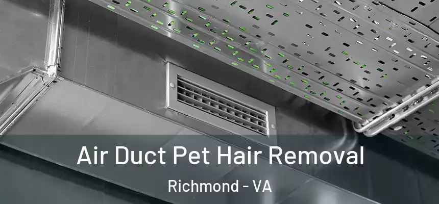Air Duct Pet Hair Removal Richmond - VA