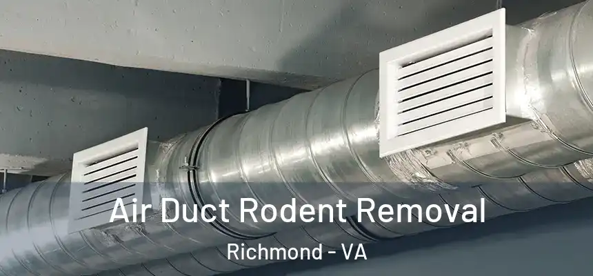Air Duct Rodent Removal Richmond - VA