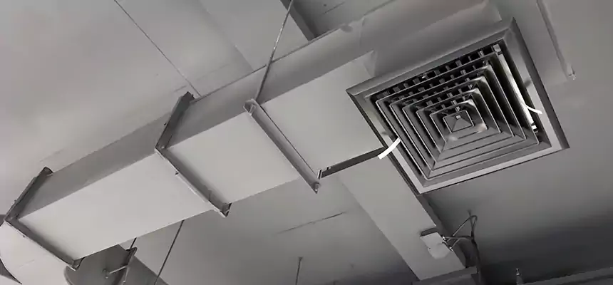 Restorative Allergy Relief Vent Cleaning – Coil, Blower & Housing Detail in Richmond