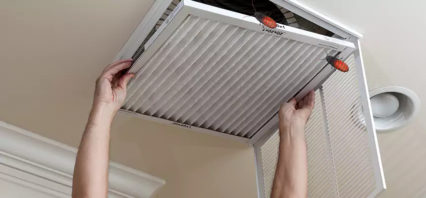 Our Insect Removal from Air Ducts Services in Richmond, VA