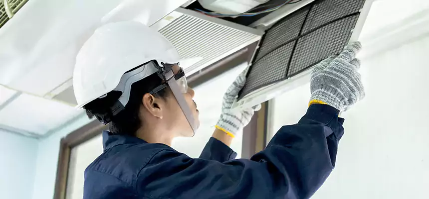 Our Mold & Mildew Removal from Air Ducts Services in Richmond, VA