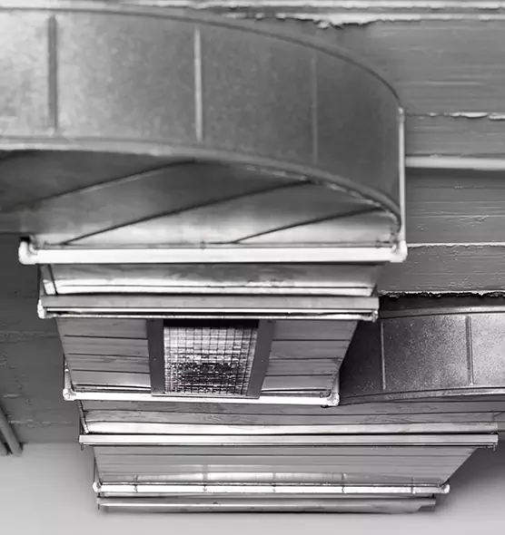 Professional Air Duct Pet Hair Removal in Richmond, VA