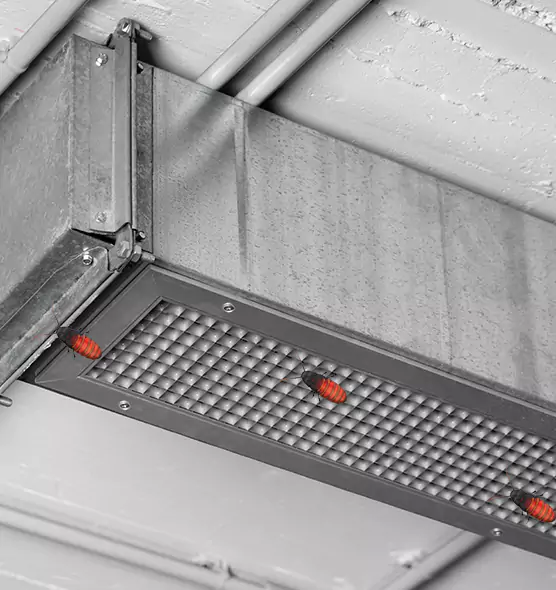 Affordable Insect Removal from Air Ducts in Richmond, VA