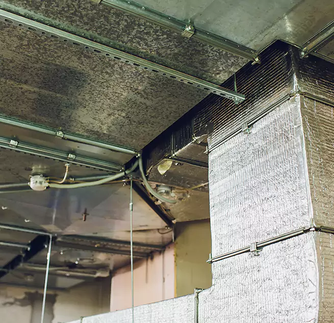 Why Homeowners & Businesses Trust Us in Richmond, VA?